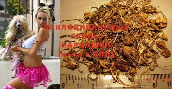 дурь Абаза